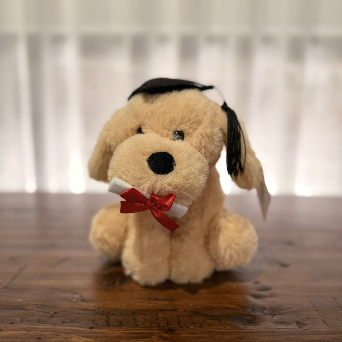 Graduation Puppy Plush