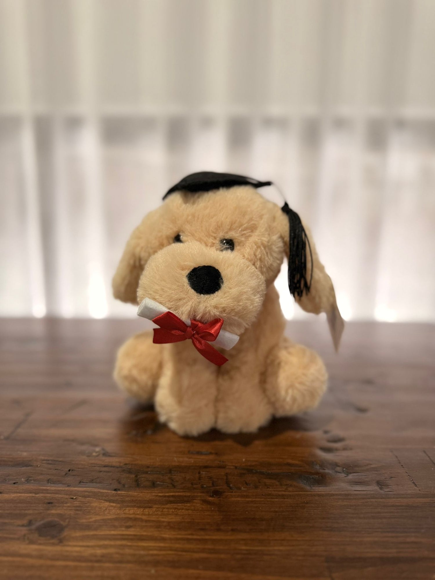 Graduation Puppy Plush