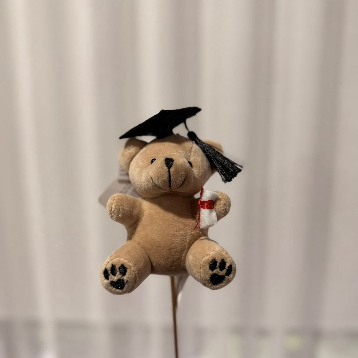 Graduation Bear Stem