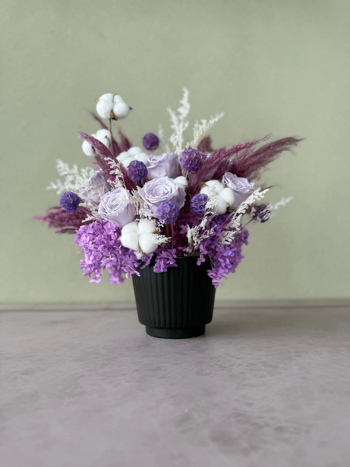 Purple perfection