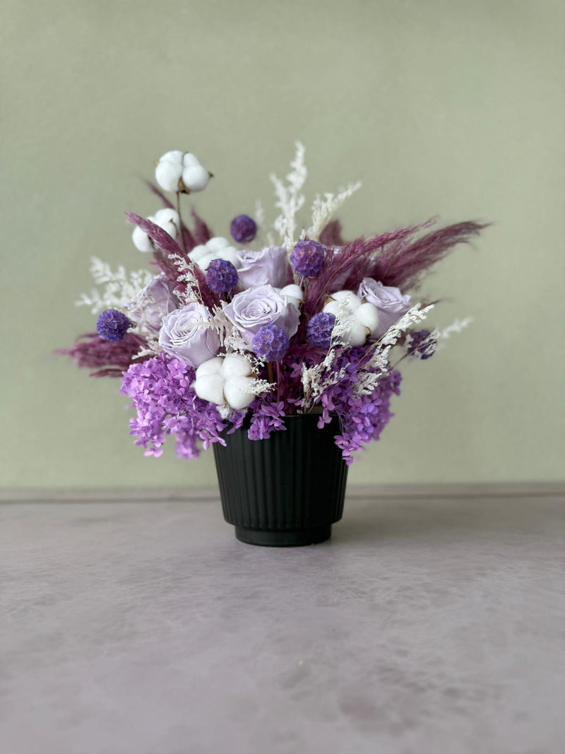 Purple perfection
